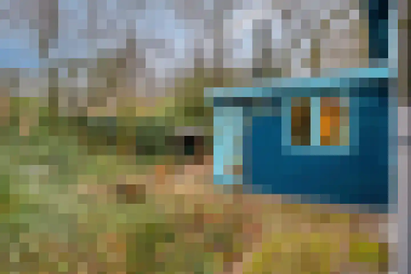 Schaluinen 11 b 408 Baarle-Nassau thumbnail 41