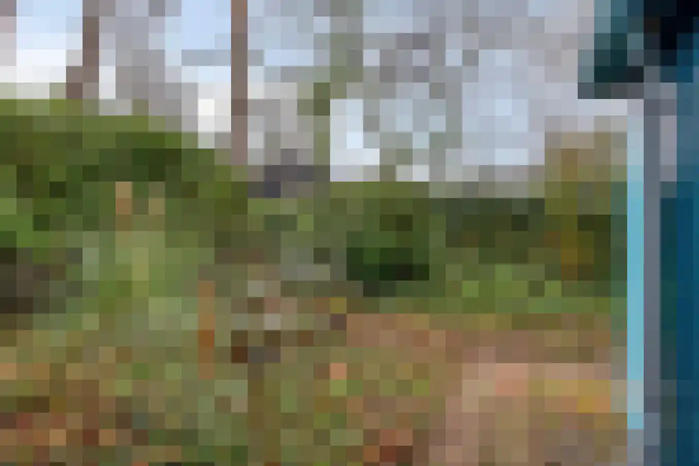 Schaluinen 11 b 408 Baarle-Nassau thumbnail 42
