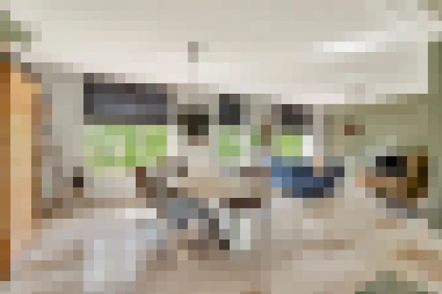 Schaluinen 4 Baarle-Nassau thumbnail 14