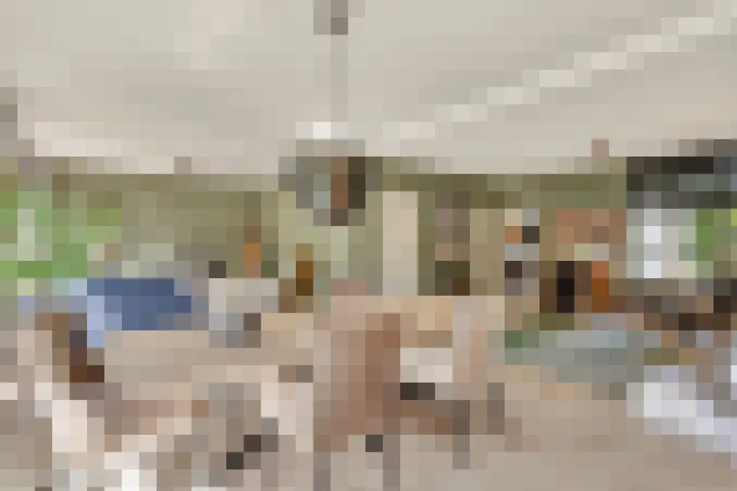 Schaluinen 4 Baarle-Nassau thumbnail 17