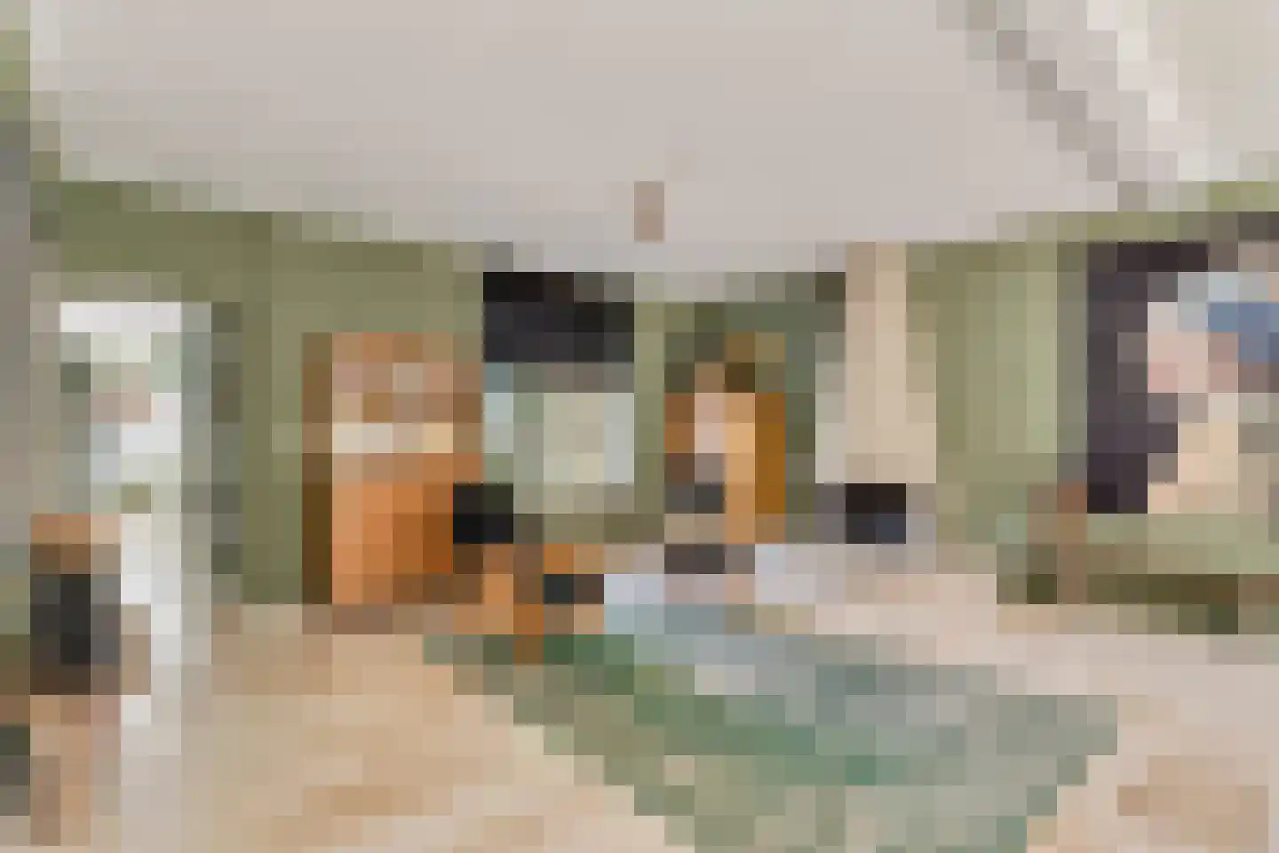 Schaluinen 4 Baarle-Nassau thumbnail 19