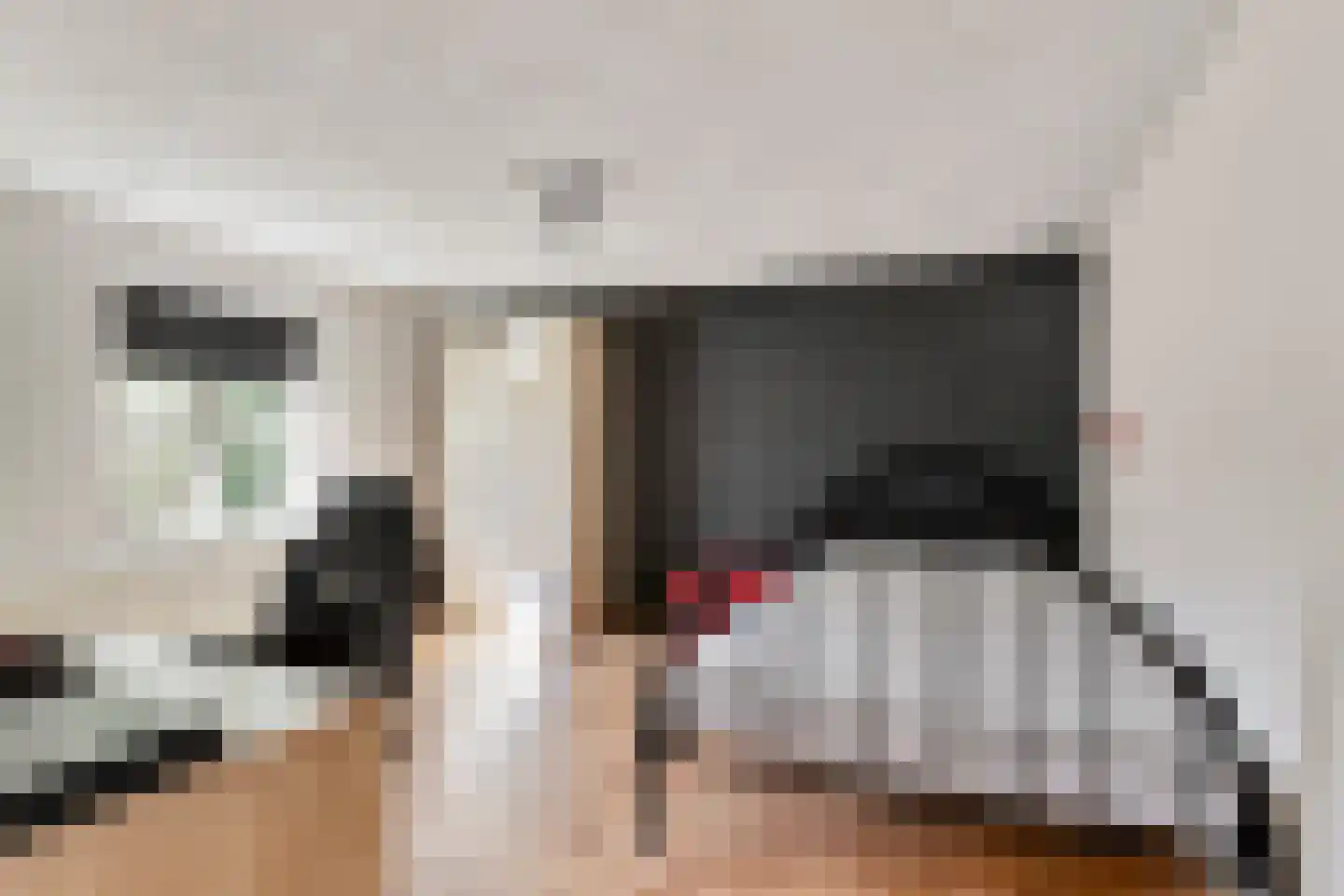 Schaluinen 4 Baarle-Nassau thumbnail 21