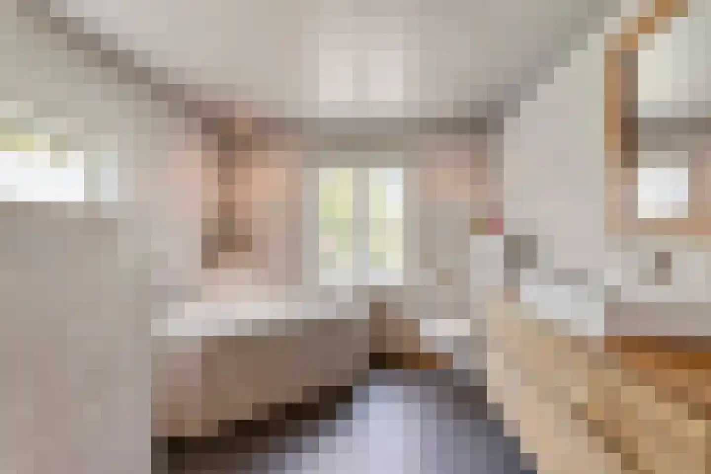 Schaluinen 4 Baarle-Nassau thumbnail 23