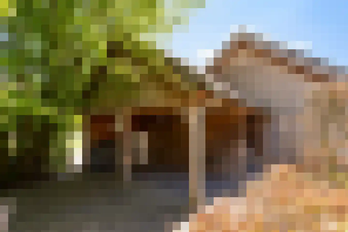 Schaluinen 4 Baarle-Nassau thumbnail 30