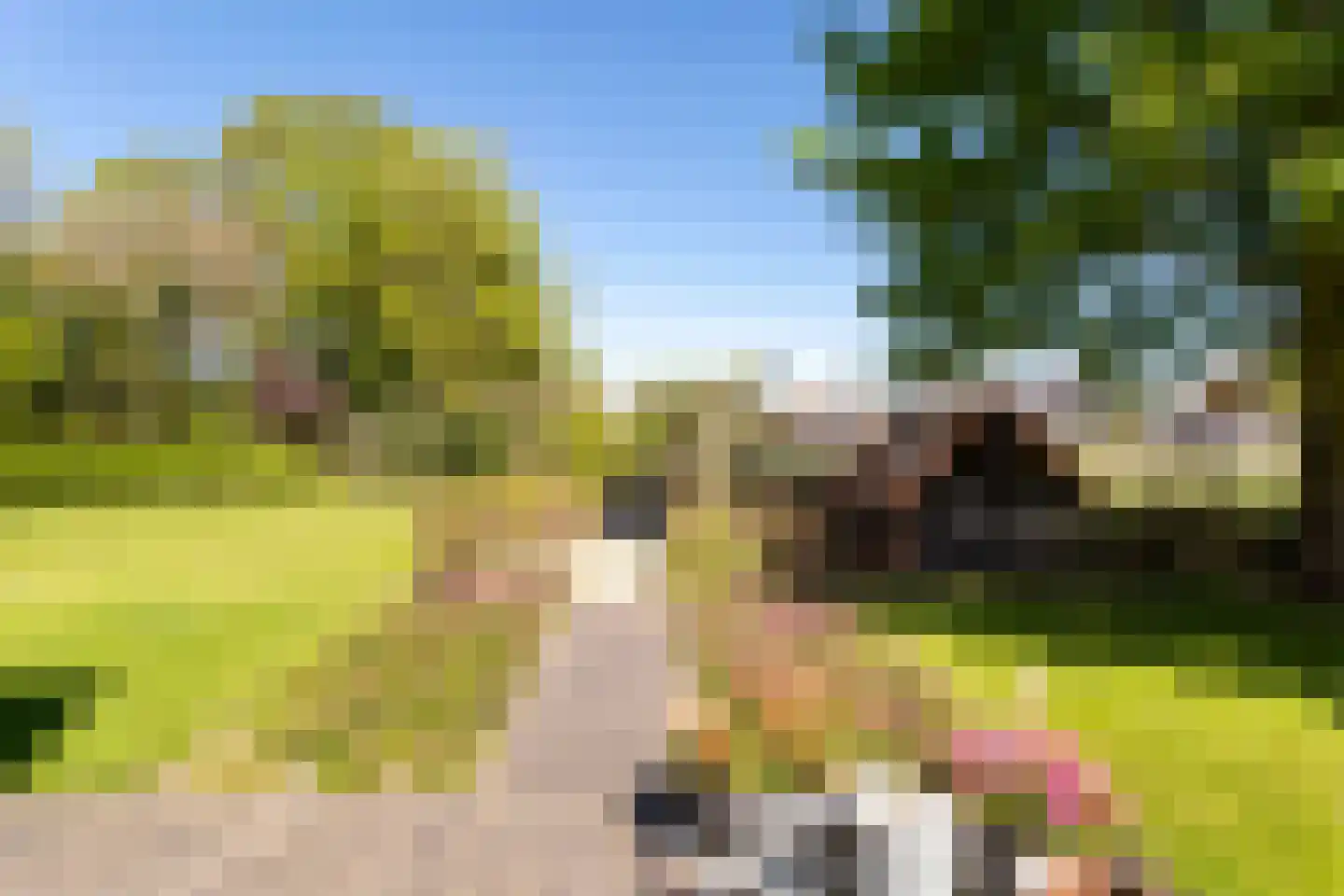Schaluinen 4 Baarle-Nassau thumbnail 34