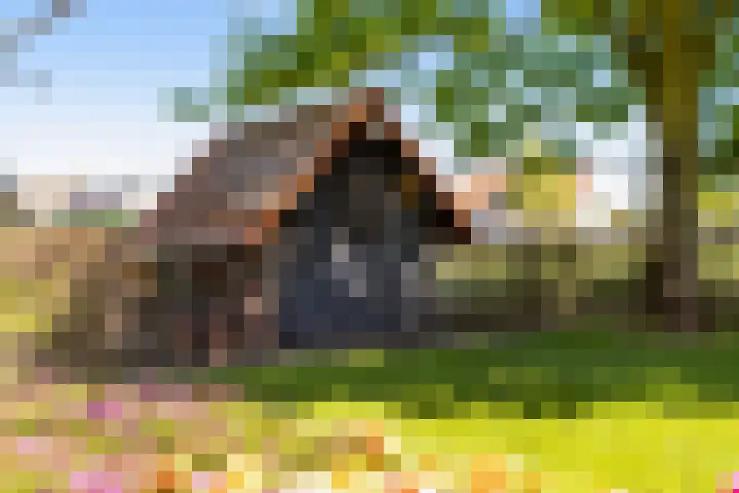 Schaluinen 4 Baarle-Nassau thumbnail 35
