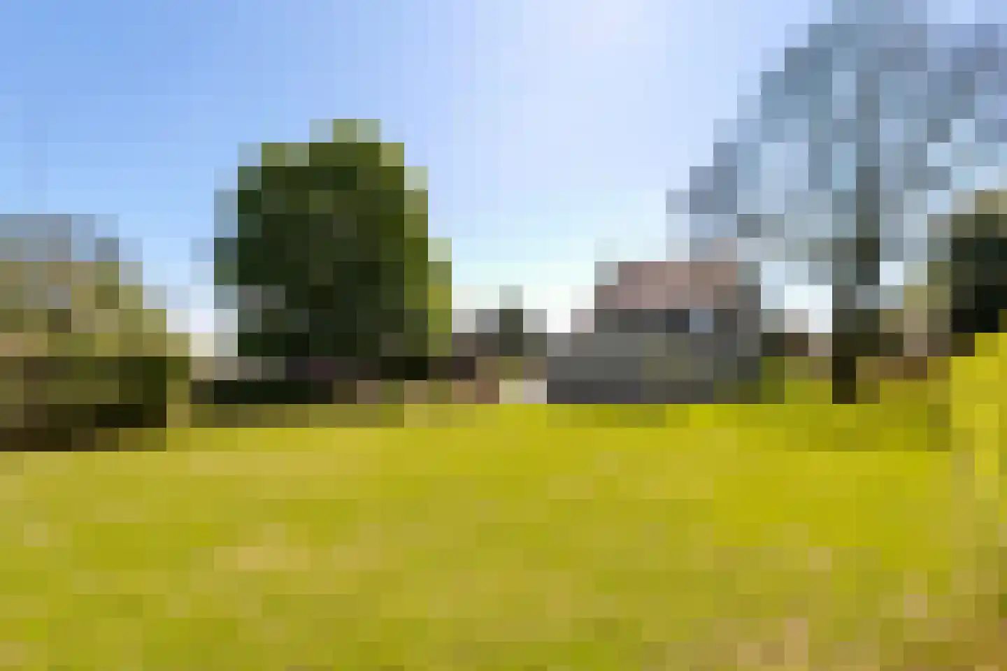 Schaluinen 4 Baarle-Nassau thumbnail 4