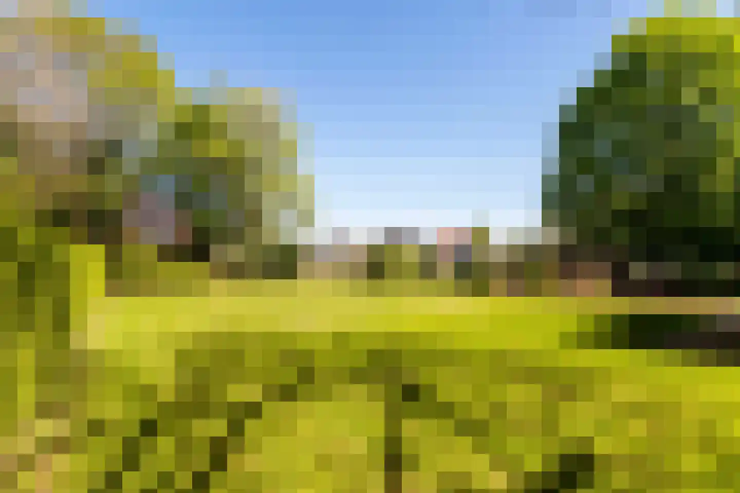 Schaluinen 4 Baarle-Nassau thumbnail 5