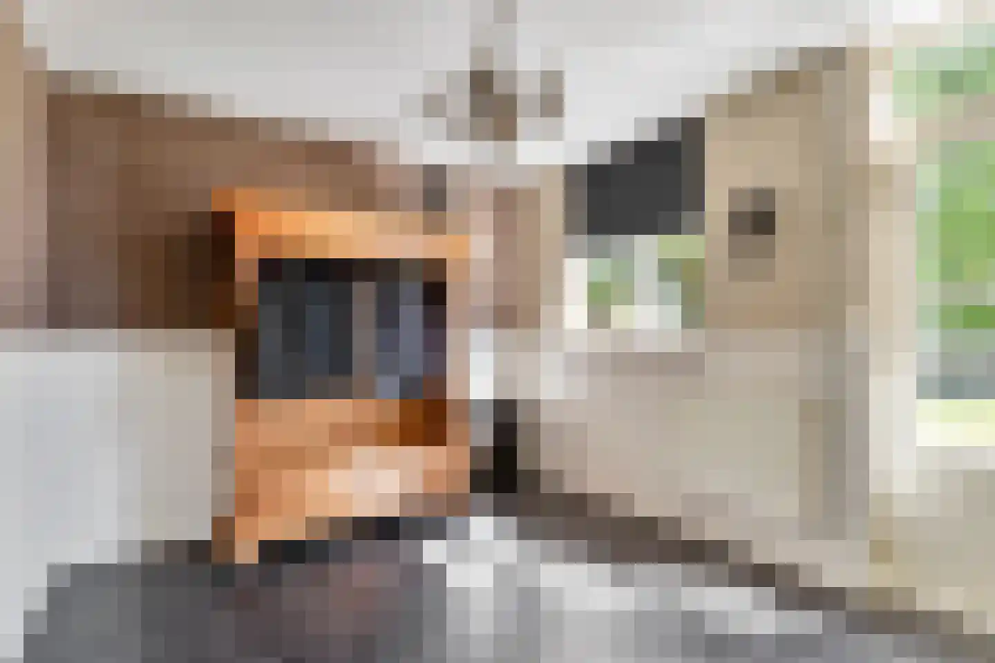 Schaluinen 4 Baarle-Nassau thumbnail 6