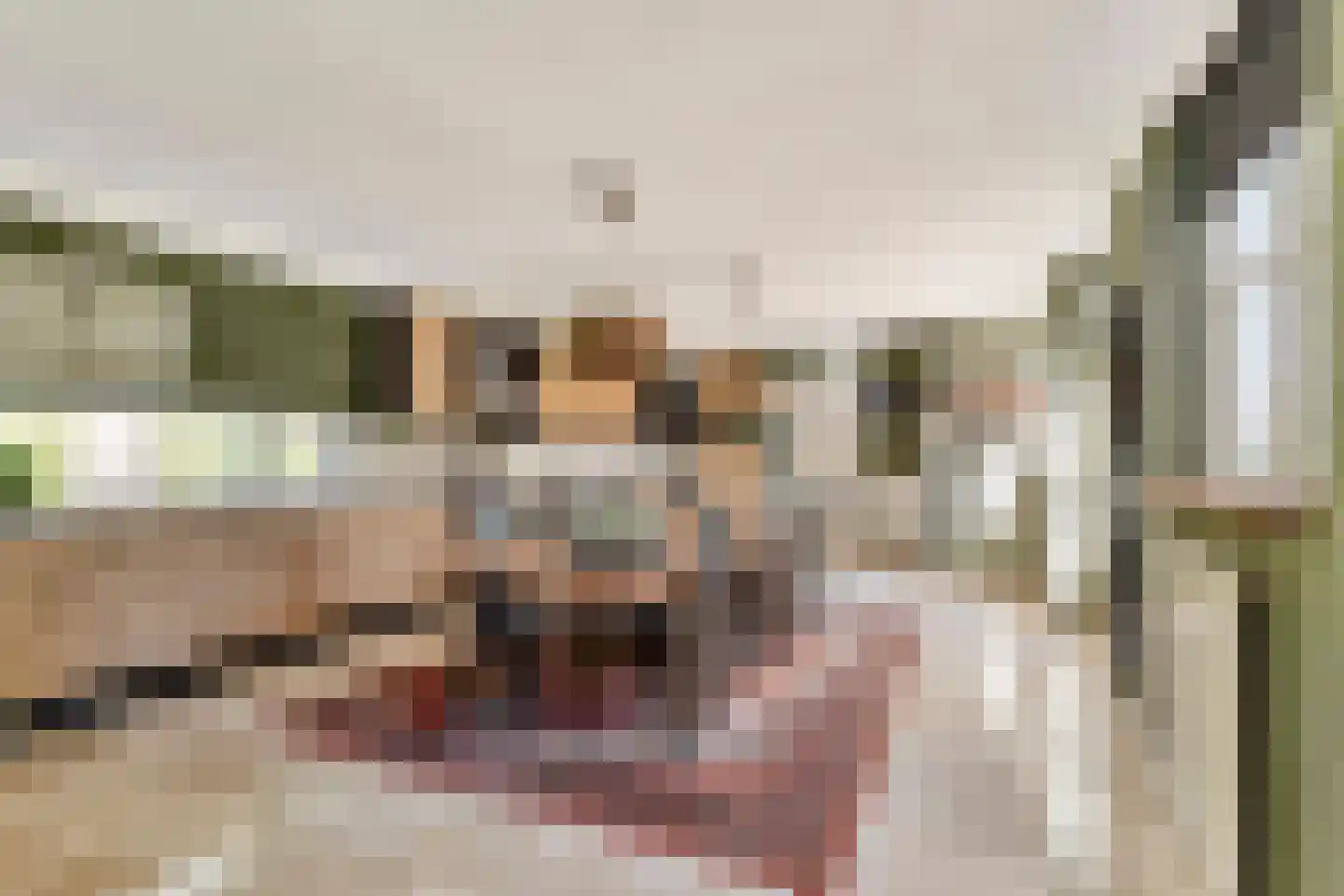 Schaluinen 4 Baarle-Nassau thumbnail 8