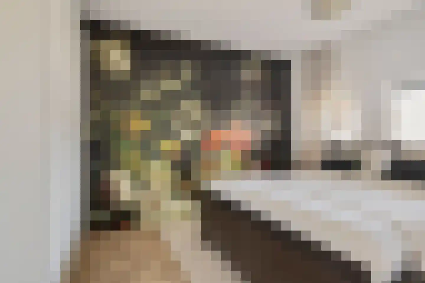 Schamel 14 b Huissen thumbnail 12