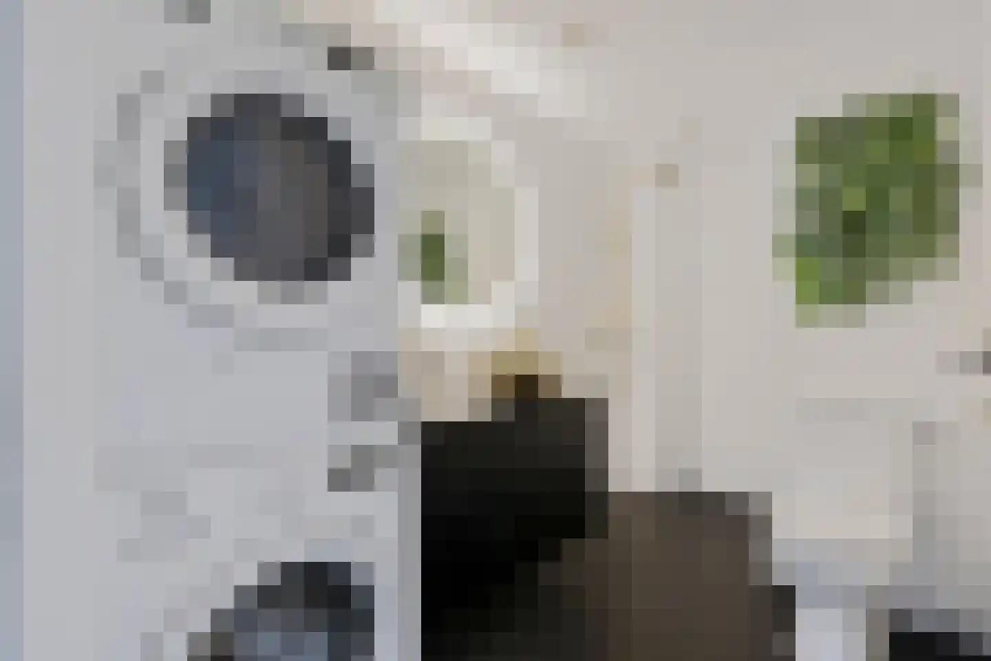 Schamel 14 b Huissen thumbnail 14