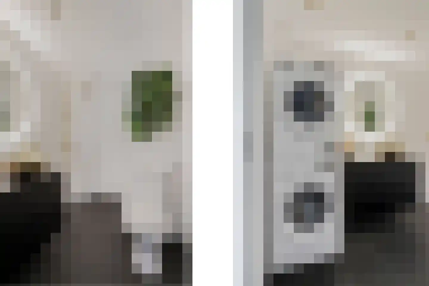Schamel 14 b Huissen thumbnail 15