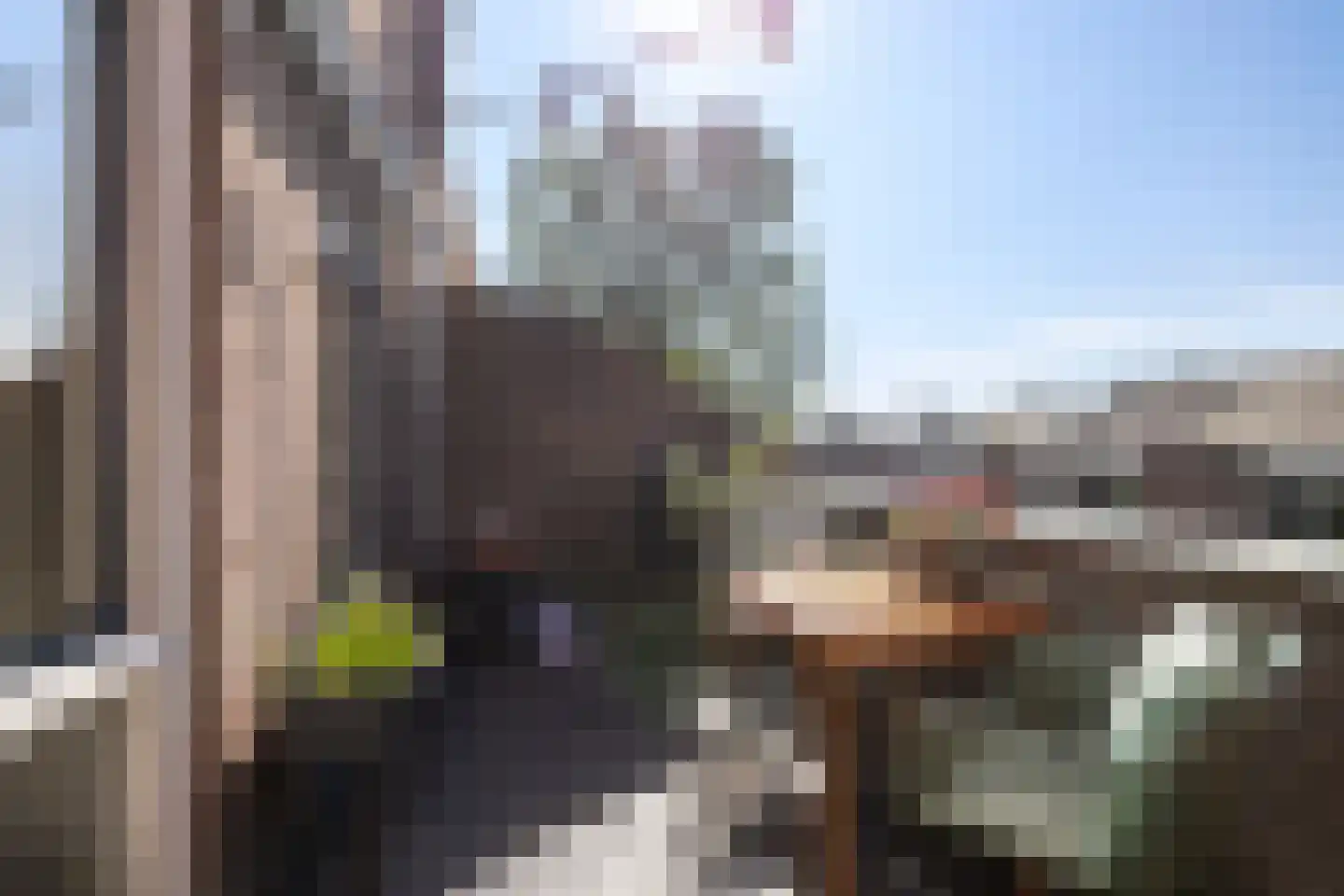Schamel 14 b Huissen thumbnail 18