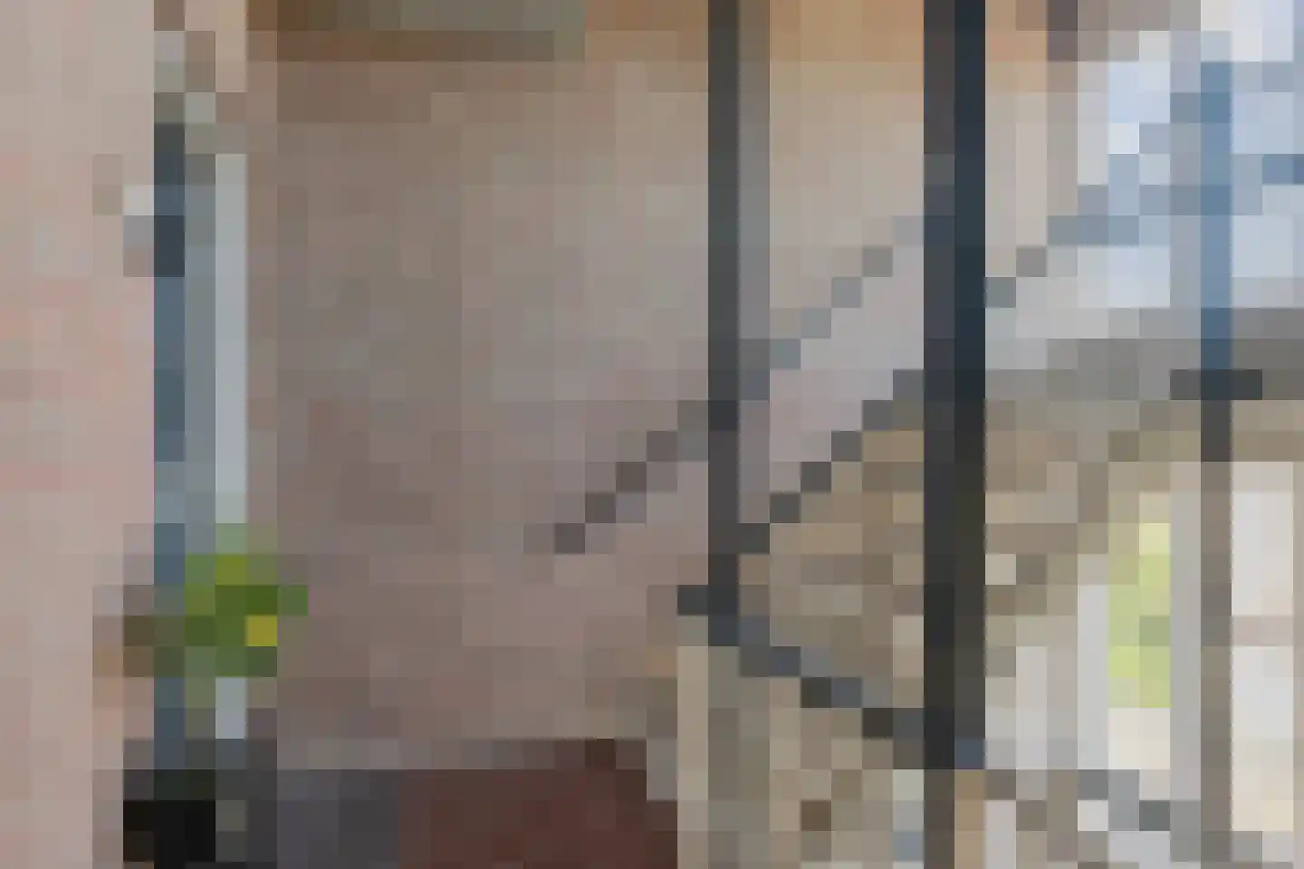 Schamel 14 b Huissen thumbnail 22