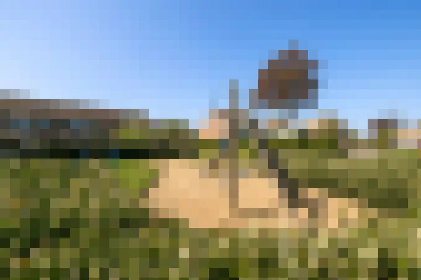 Schamel 14 b Huissen thumbnail 28