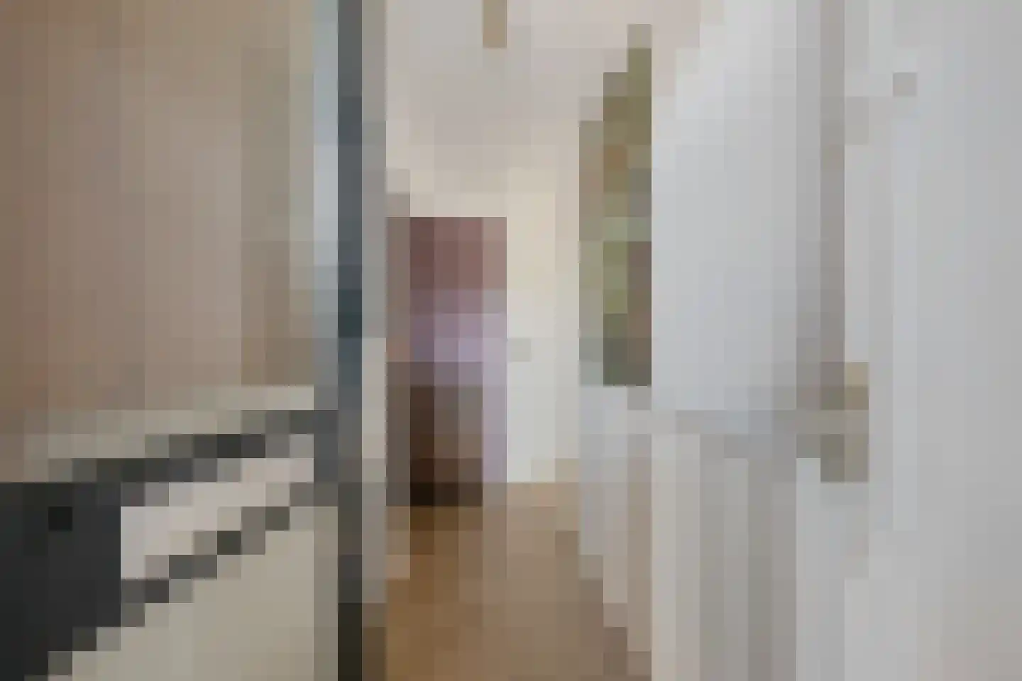 Schamel 14 b Huissen thumbnail 4