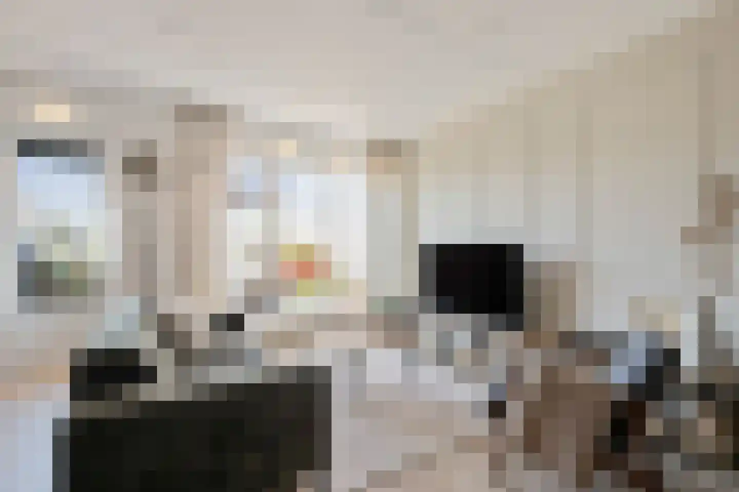 Schamel 14 b Huissen thumbnail 6