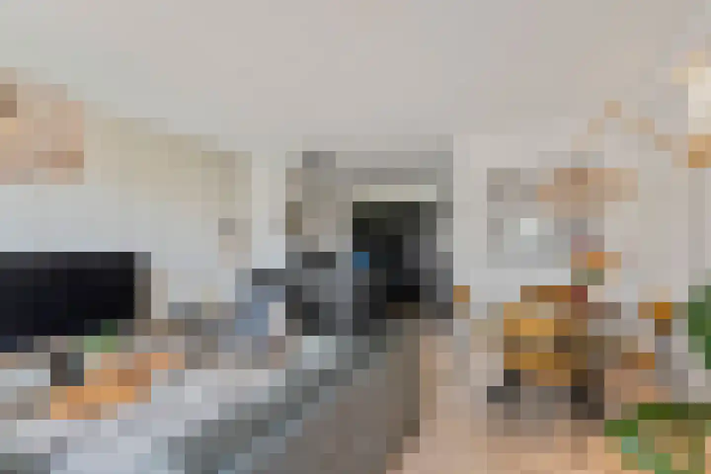 Schamel 14 b Huissen thumbnail 8