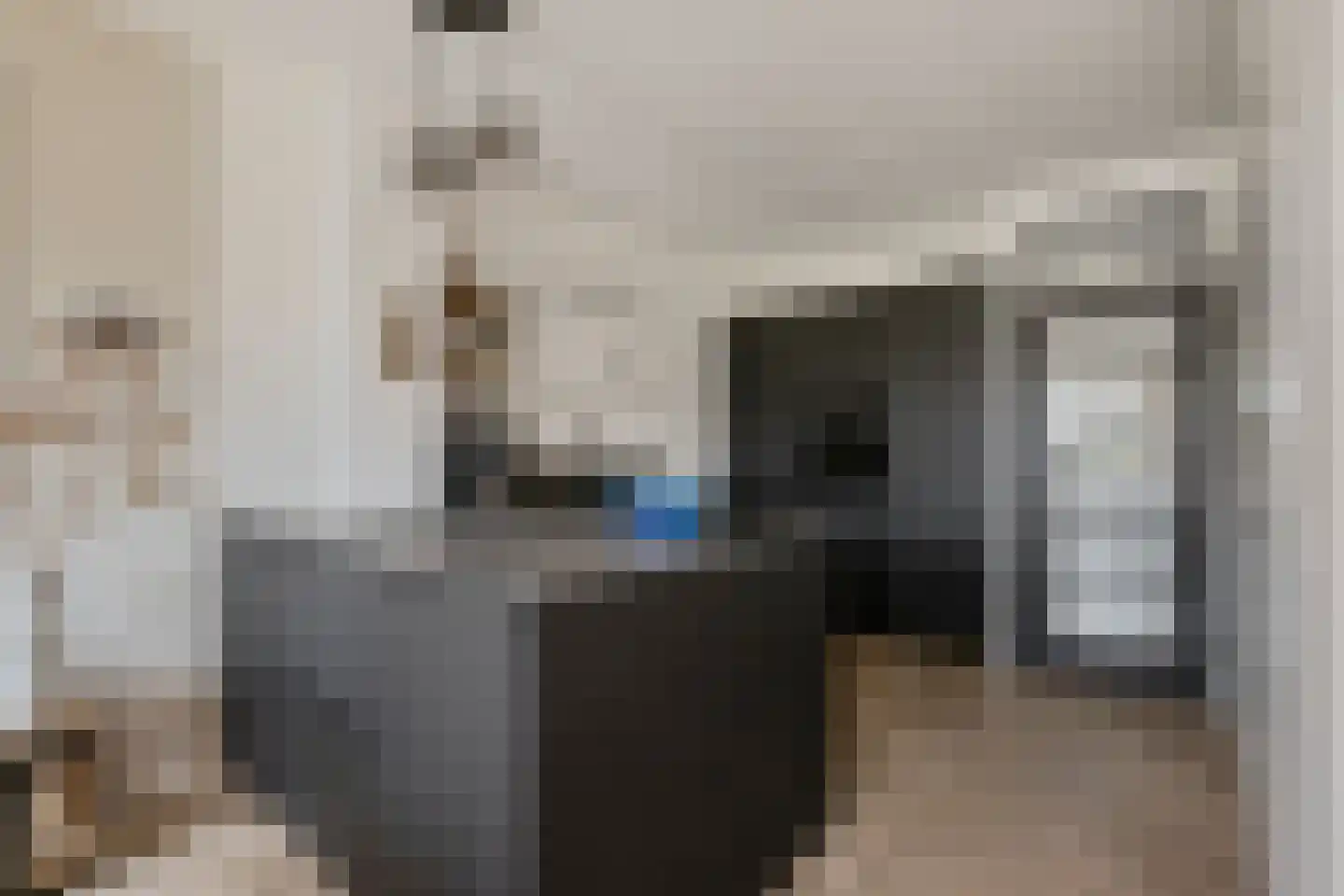 Schamel 14 b Huissen thumbnail 9