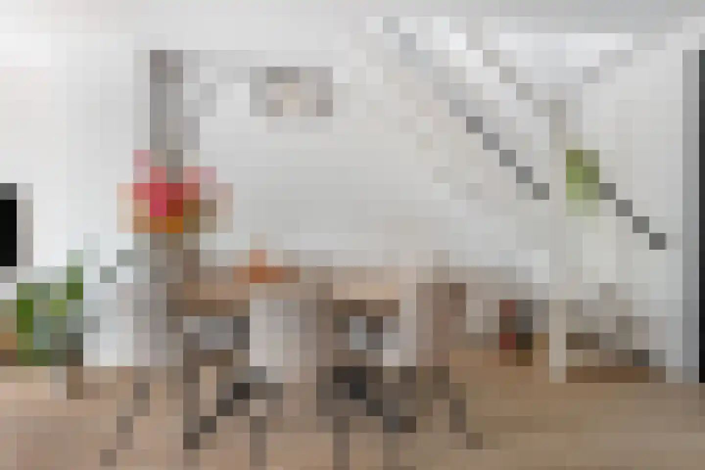 Schamel 15 c Huissen thumbnail 12