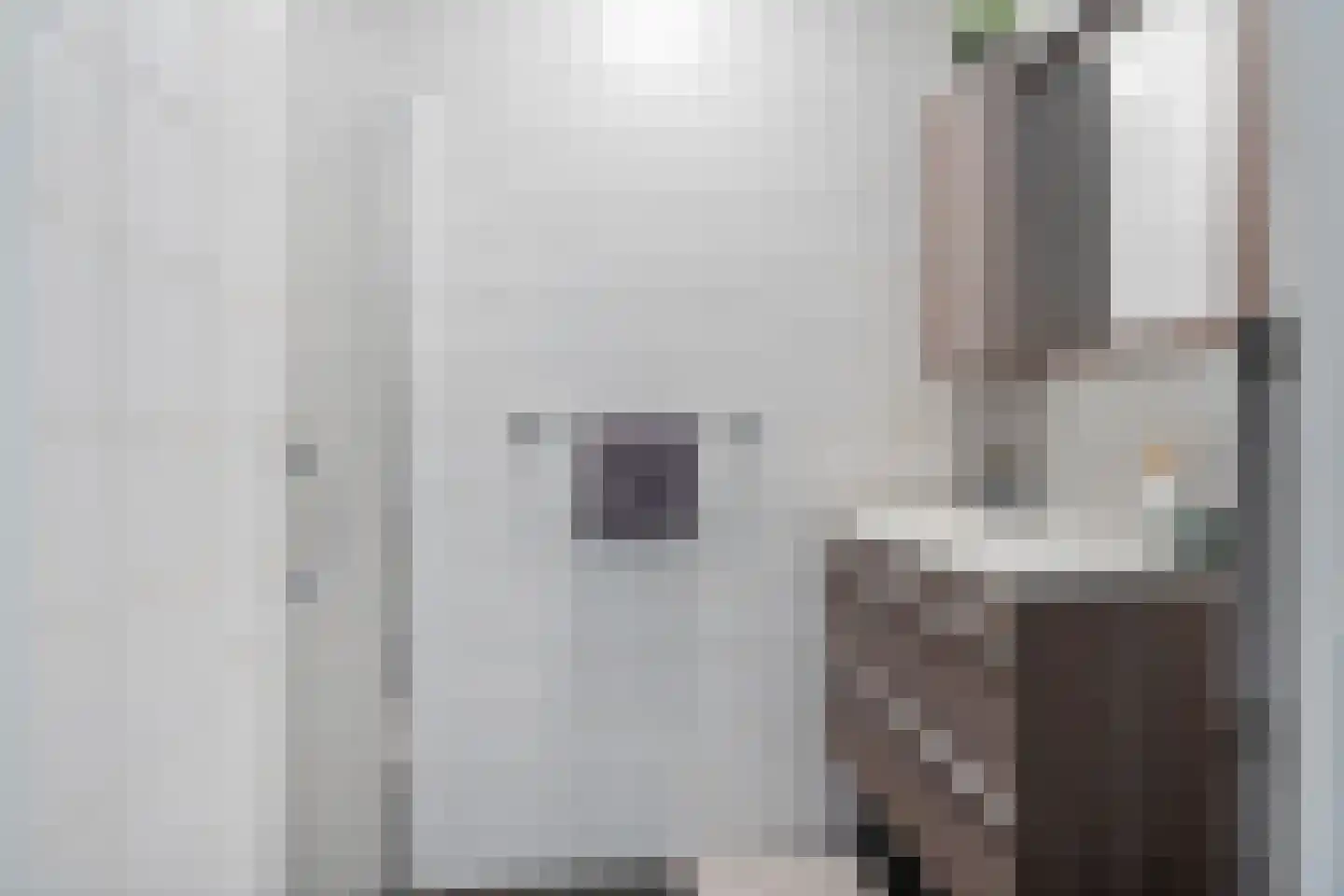 Schamel 15 c Huissen thumbnail 18