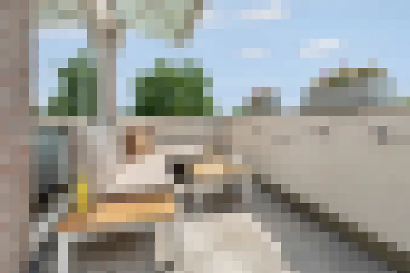 Schamel 15 c Huissen thumbnail 5