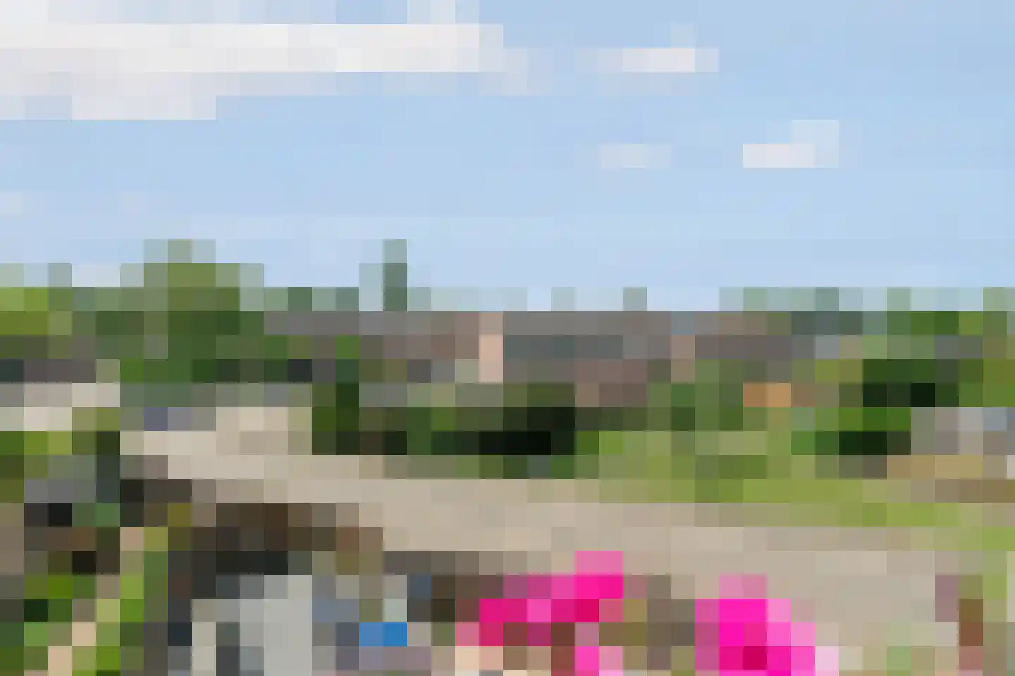 Schamel 15 c Huissen thumbnail 8