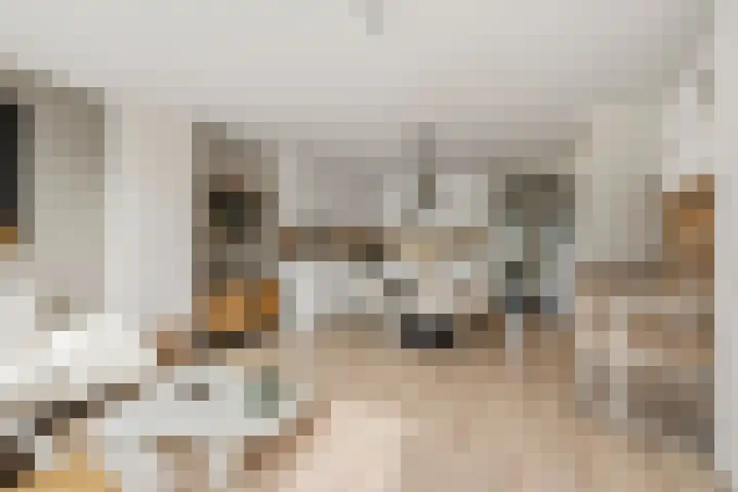 Schamel 16 c Huissen thumbnail 11