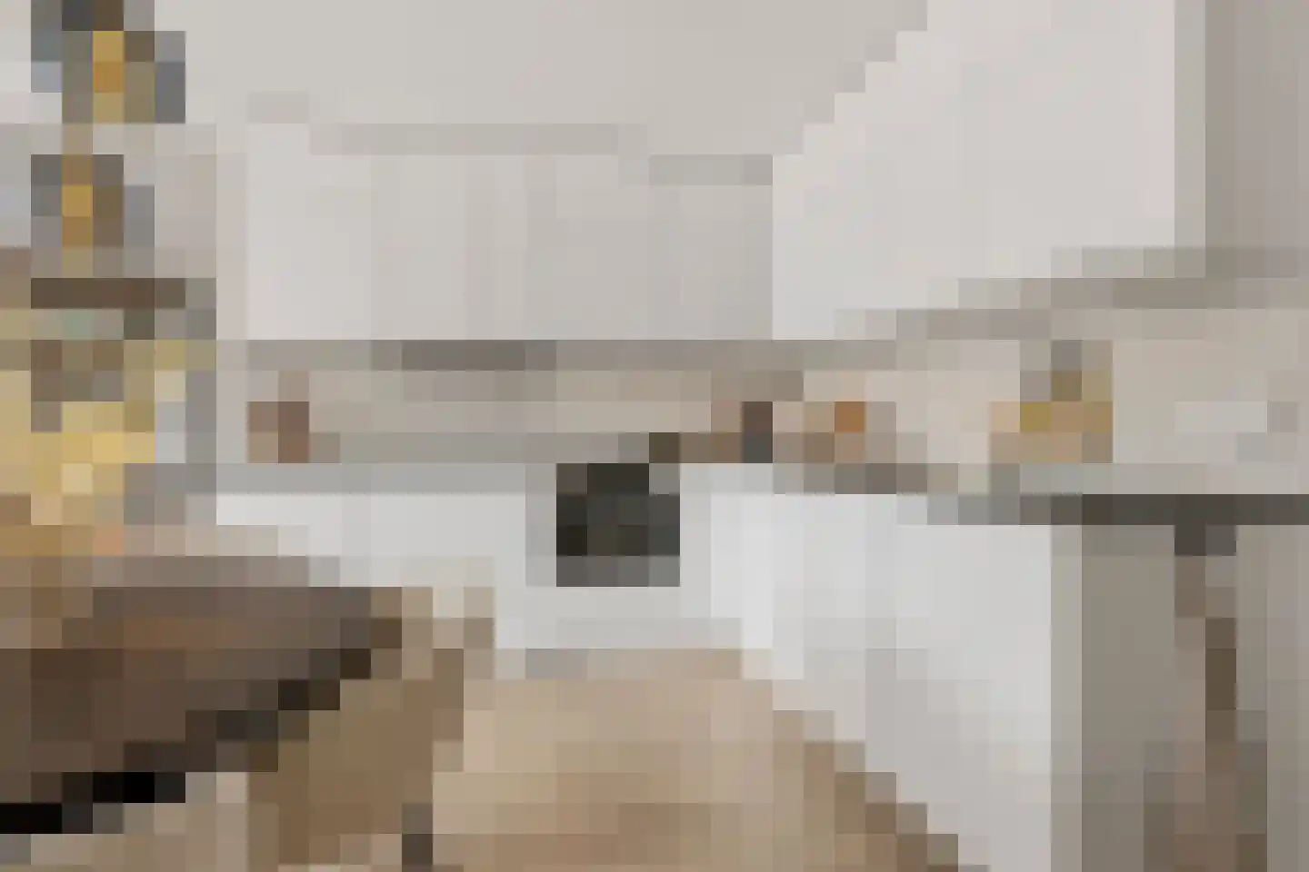 Schamel 16 c Huissen thumbnail 12