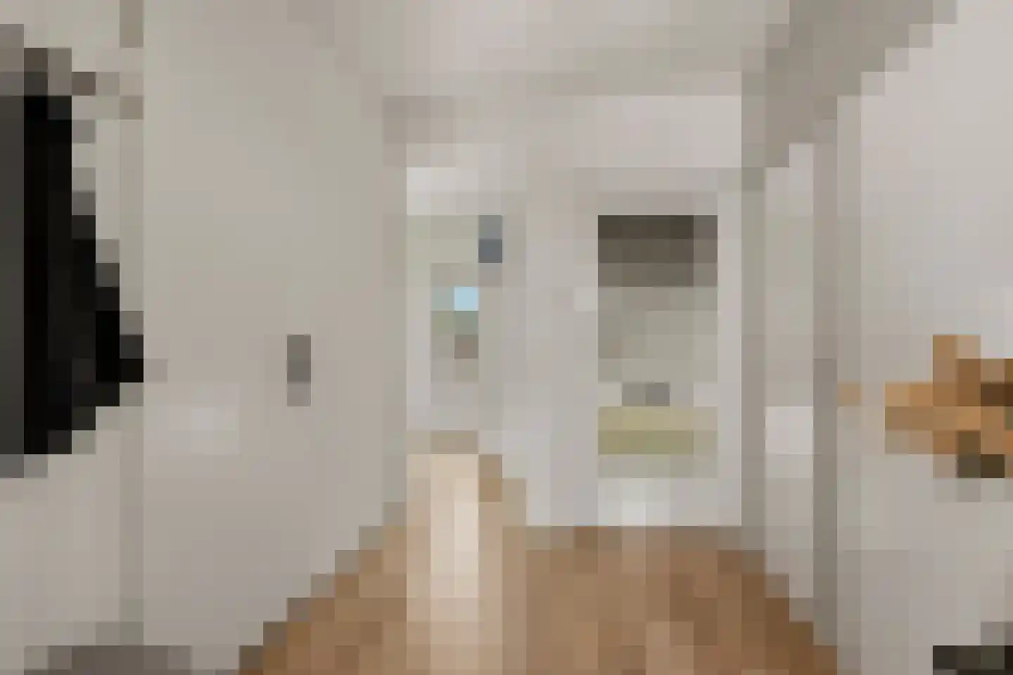 Schamel 16 c Huissen thumbnail 15