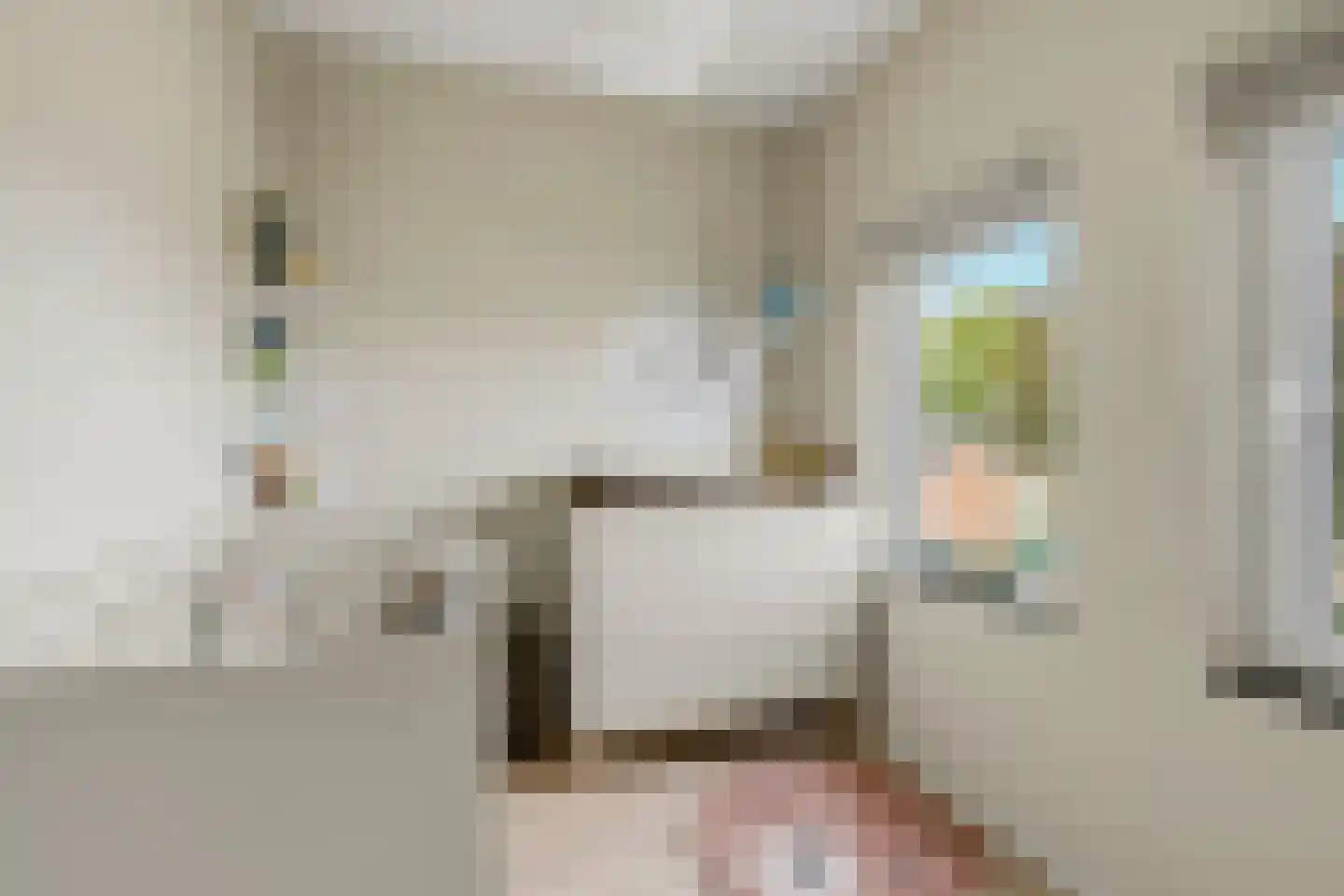Schamel 16 c Huissen thumbnail 17