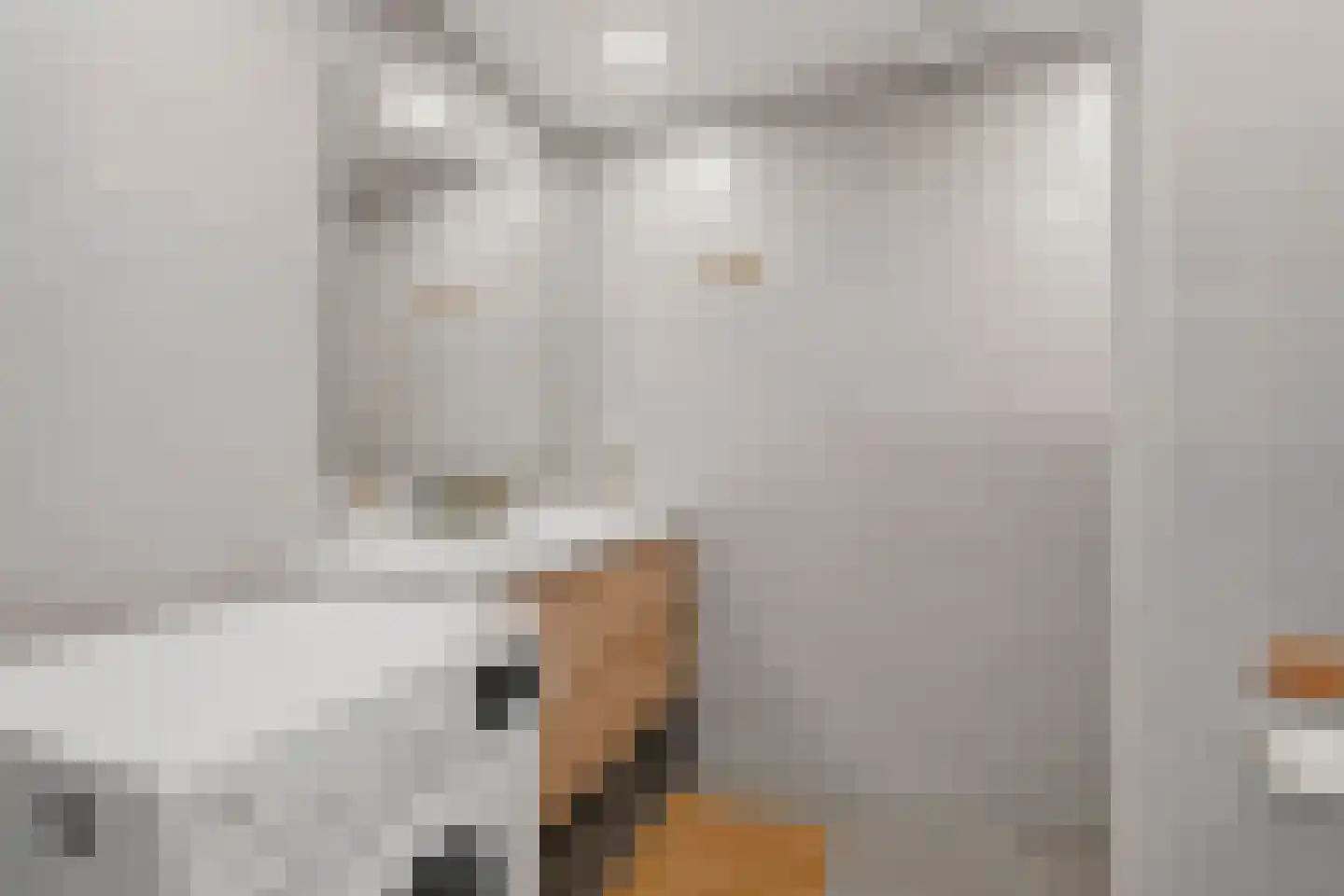 Schamel 16 c Huissen thumbnail 19