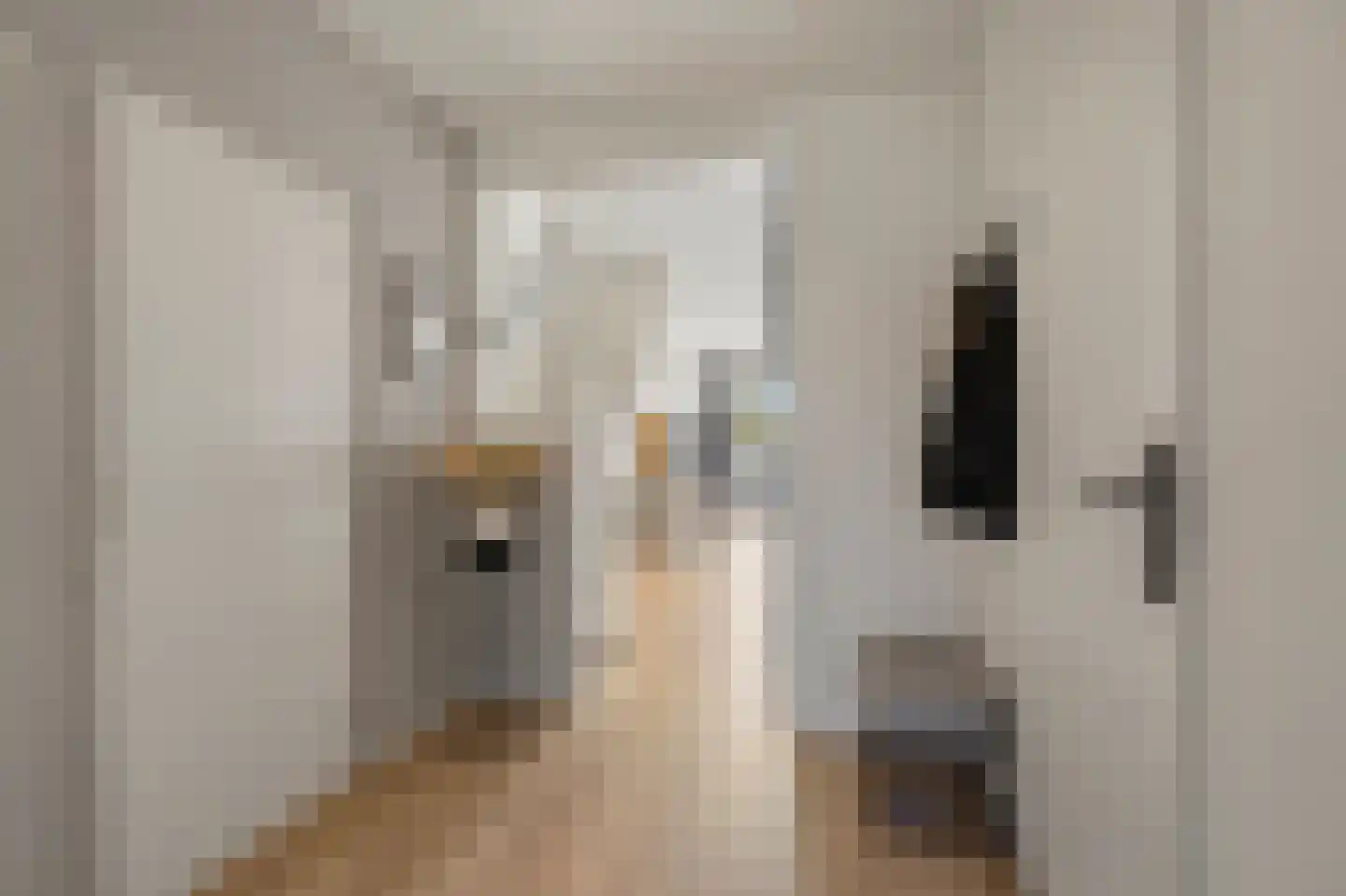 Schamel 16 c Huissen thumbnail 22