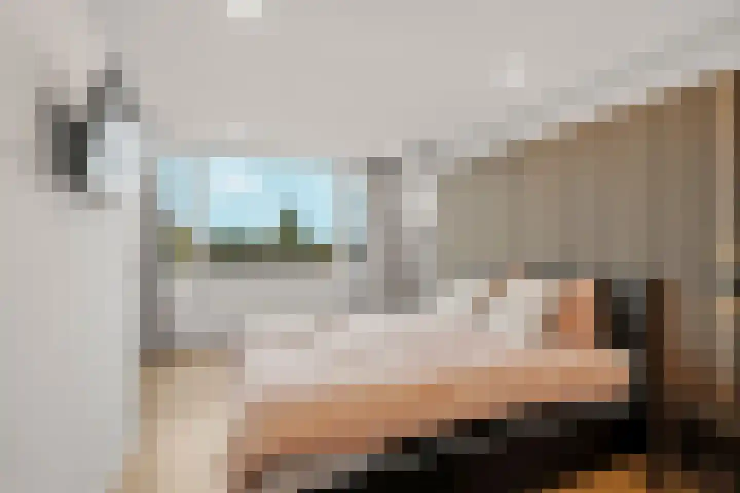 Schamel 16 c Huissen thumbnail 24
