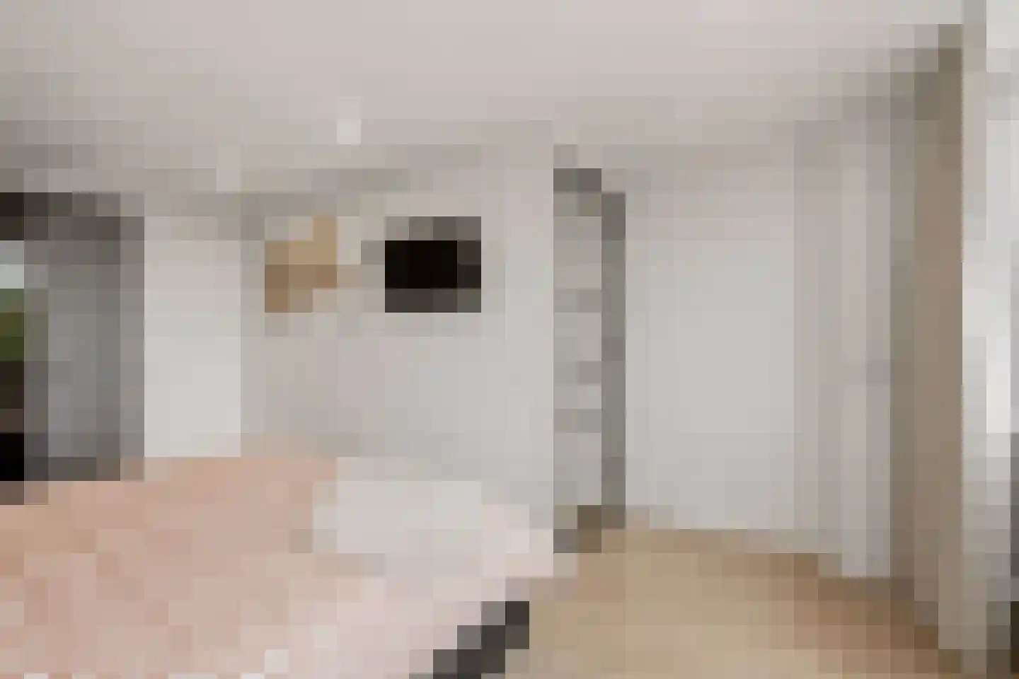 Schamel 16 c Huissen thumbnail 26