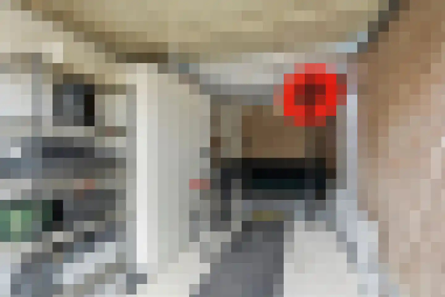 Schamel 16 c Huissen thumbnail 30