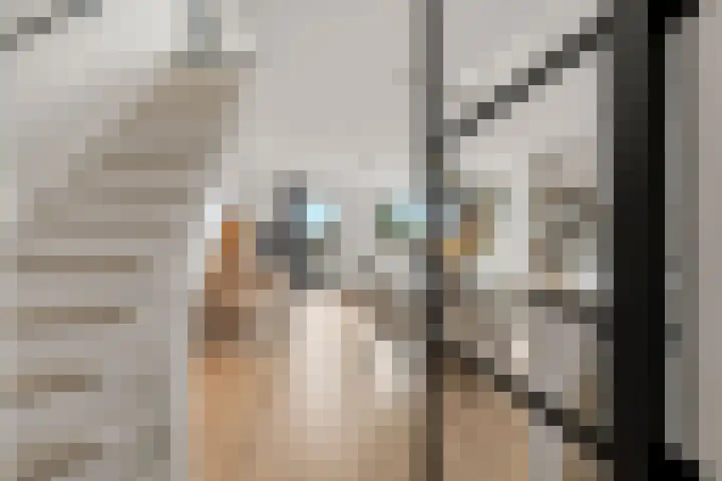 Schamel 16 c Huissen thumbnail 4