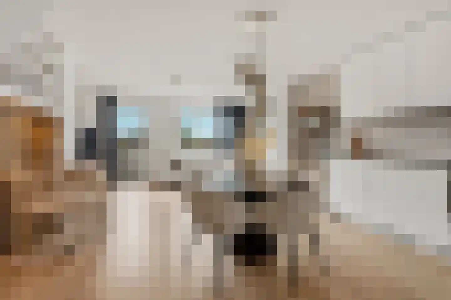 Schamel 16 c Huissen thumbnail 5