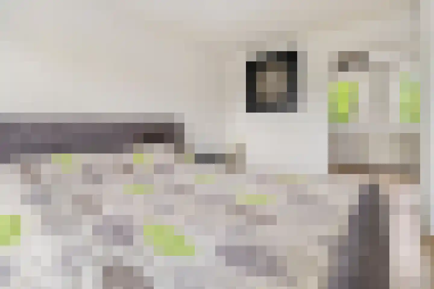 Schandelerboord 12 Heerlen thumbnail 15