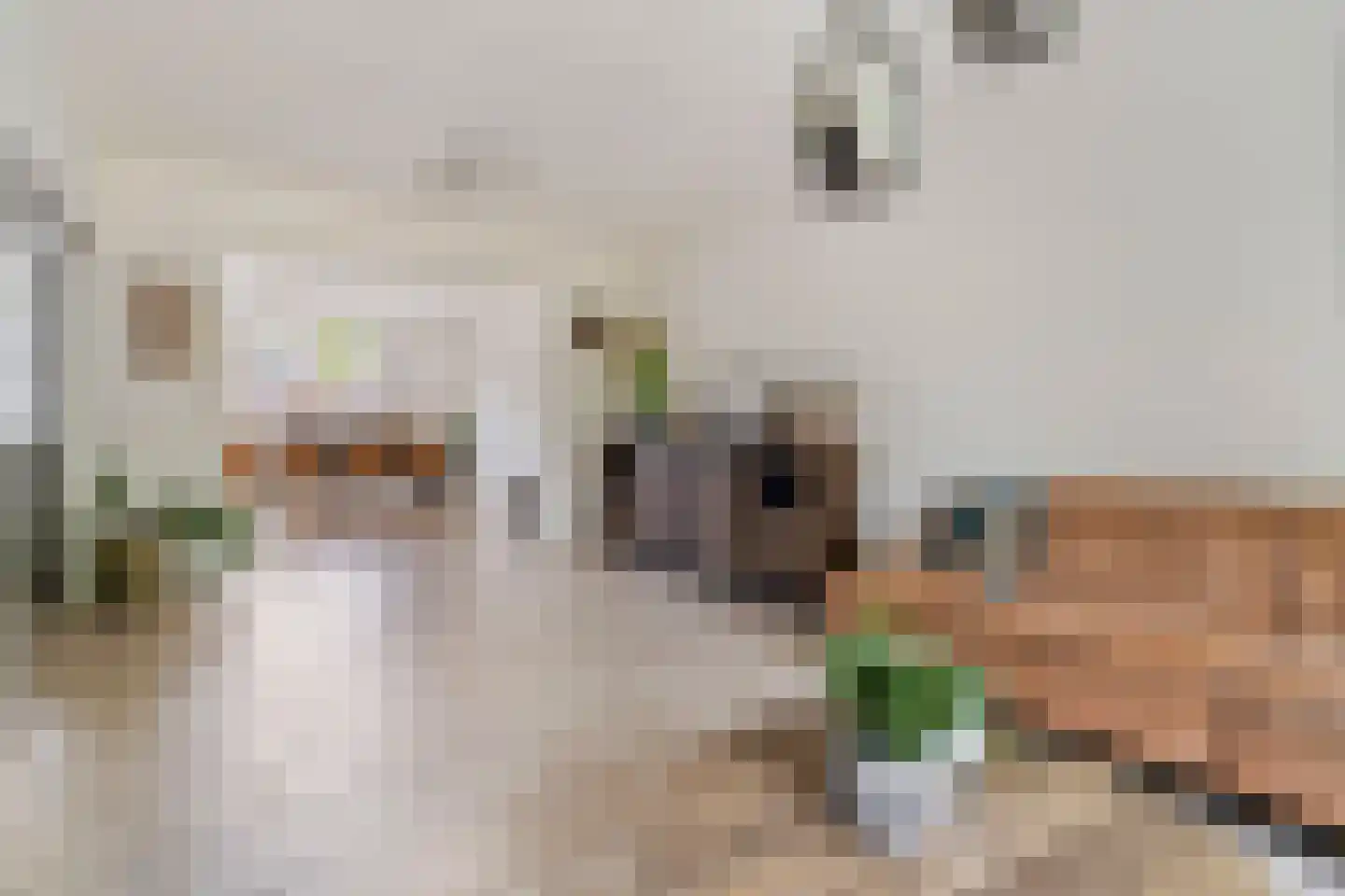 Schandelerboord 12 Heerlen thumbnail 4