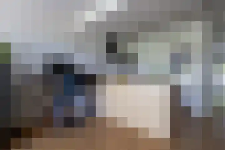 Schandelerboord 13 E Heerlen thumbnail 11