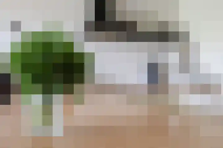Schandelerboord 13 E Heerlen thumbnail 13