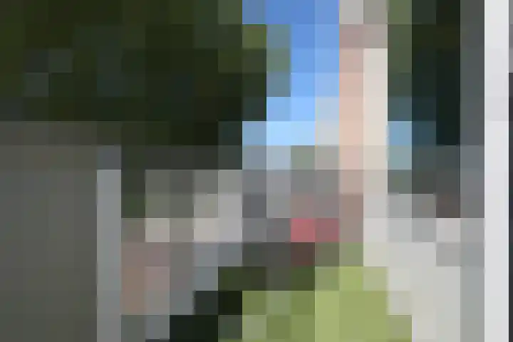 Schandelerboord 13 E Heerlen thumbnail 14