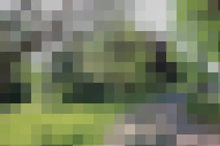 Schandelerboord 13 E Heerlen thumbnail 19