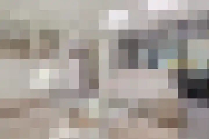 Schandelerboord 38 Heerlen thumbnail 11
