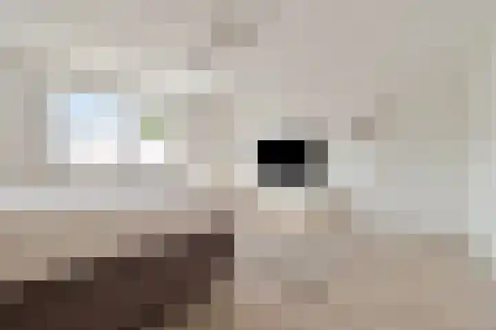 Schandelerboord 38 Heerlen thumbnail 14