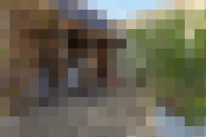 Schandelerboord 38 Heerlen thumbnail 26