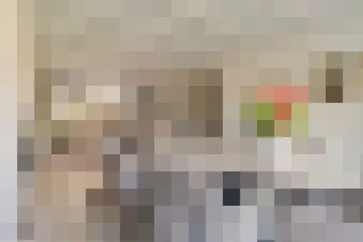 Schandelerboord 38 Heerlen thumbnail 4