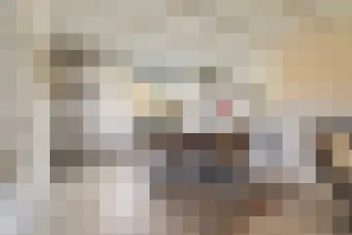 Schandelerboord 38 Heerlen thumbnail 5